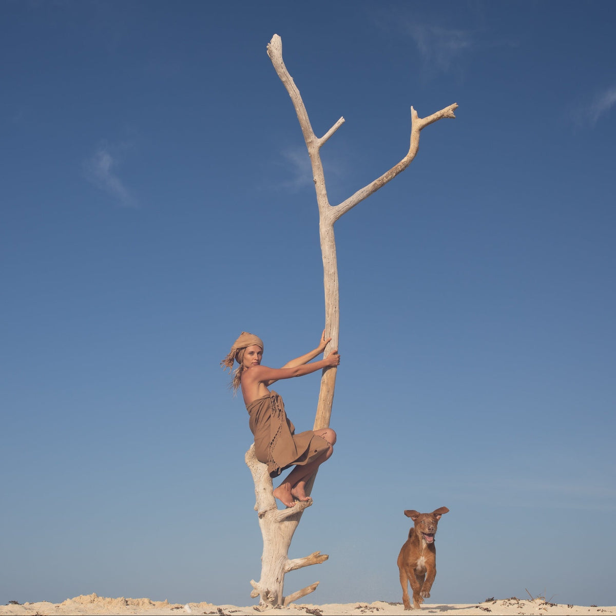 The Fouta Valladolid (Bee Classic)