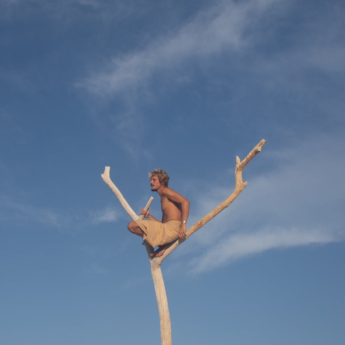The Fouta Izamal (Yute)