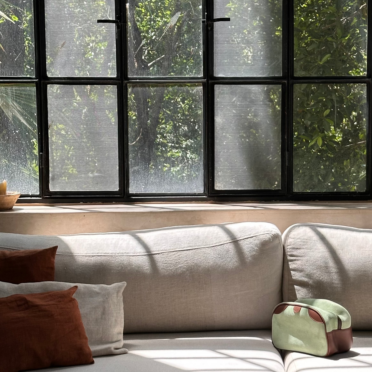 The Panama Case - Mint